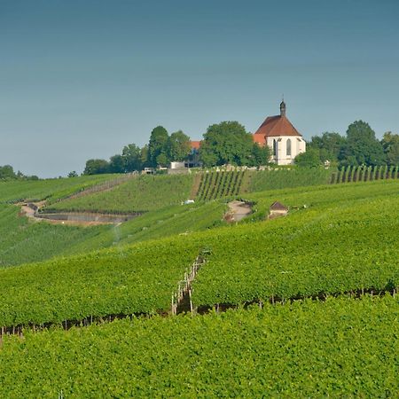 Hotel Vogelsburg Escherndorf Zewnętrze zdjęcie
