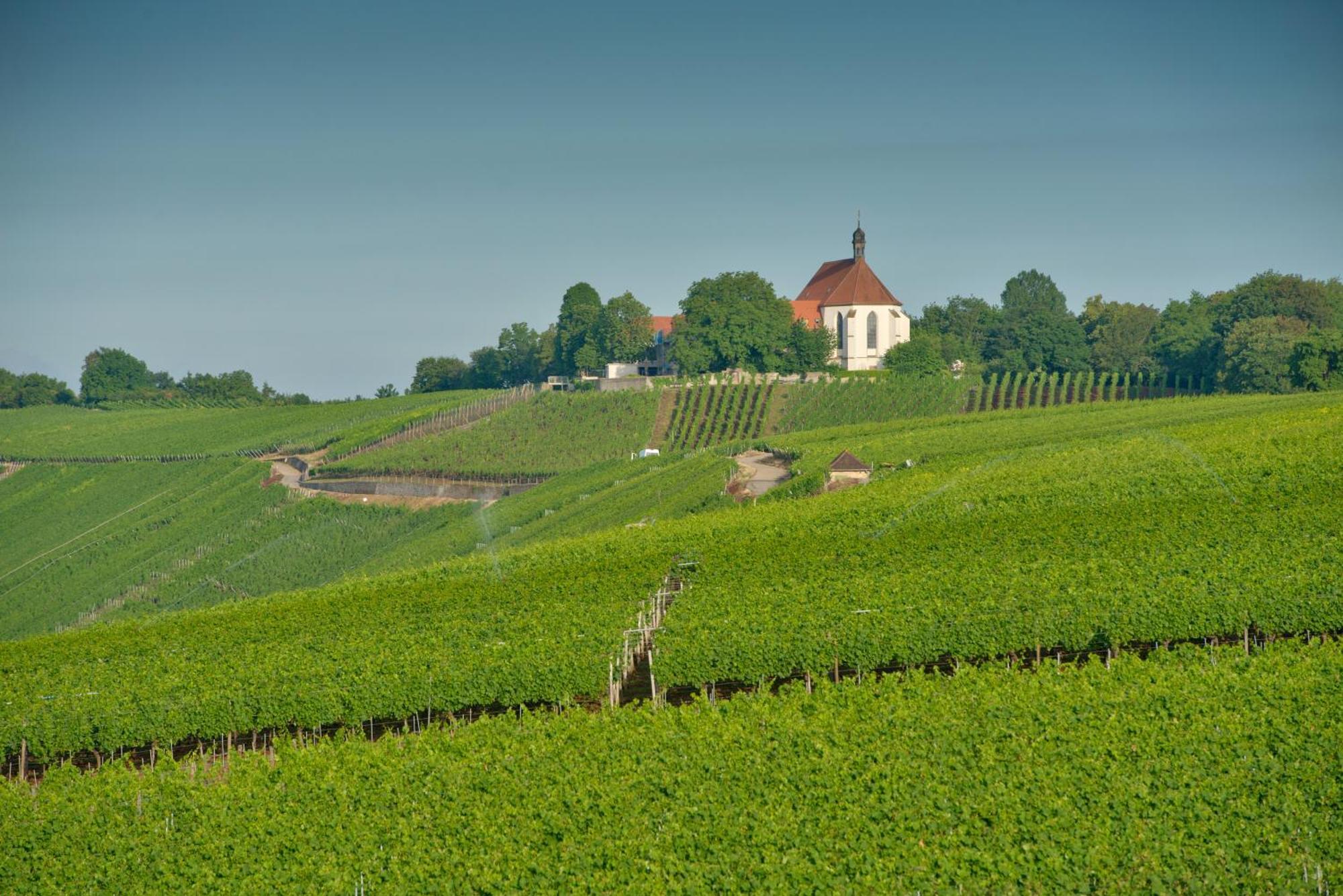 Hotel Vogelsburg Escherndorf Zewnętrze zdjęcie