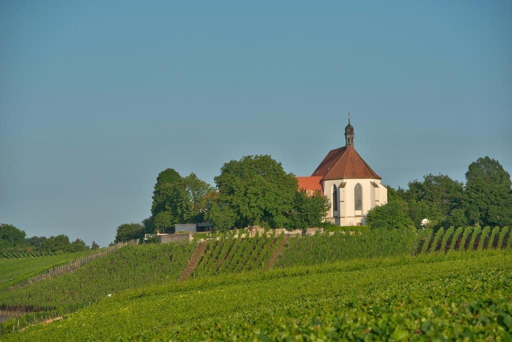 Hotel Vogelsburg Escherndorf Zewnętrze zdjęcie