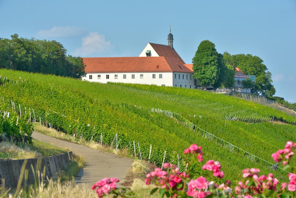 Hotel Vogelsburg Escherndorf Zewnętrze zdjęcie