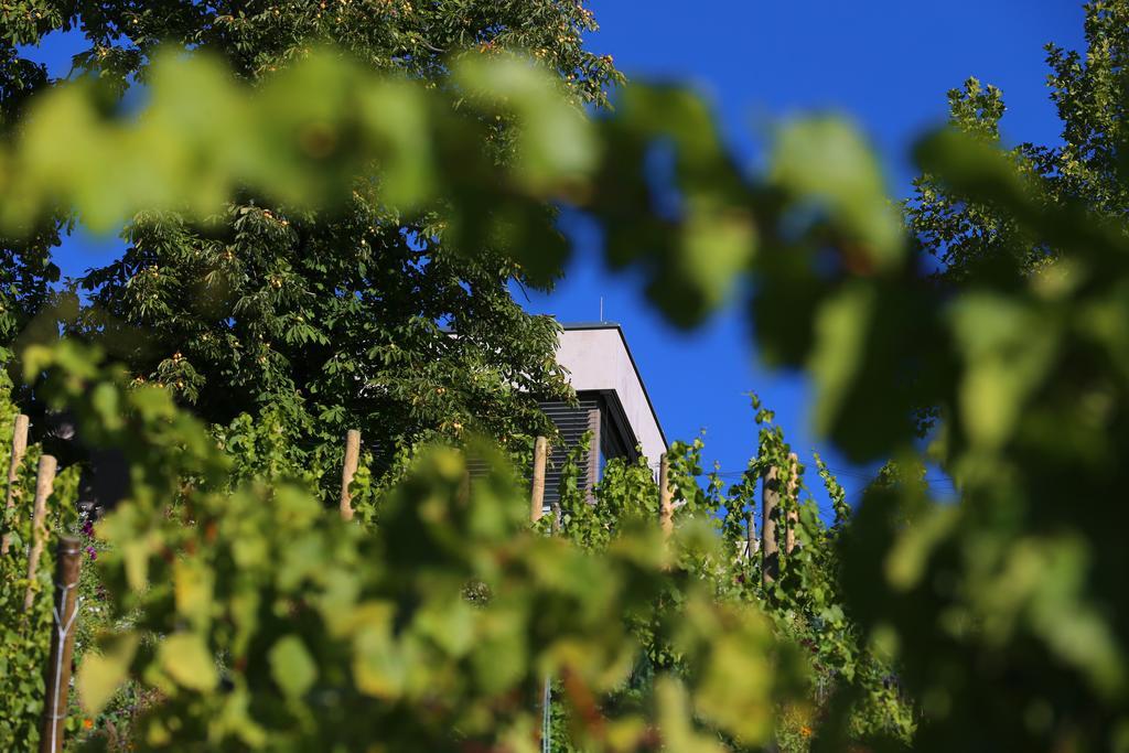 Hotel Vogelsburg Escherndorf Zewnętrze zdjęcie