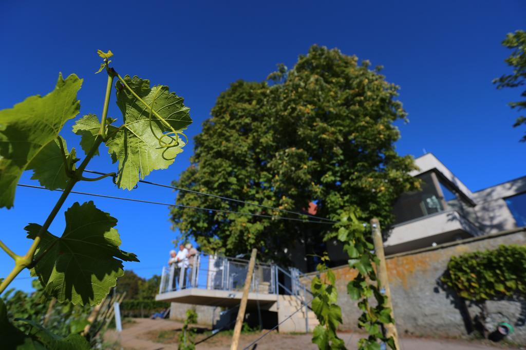 Hotel Vogelsburg Escherndorf Zewnętrze zdjęcie