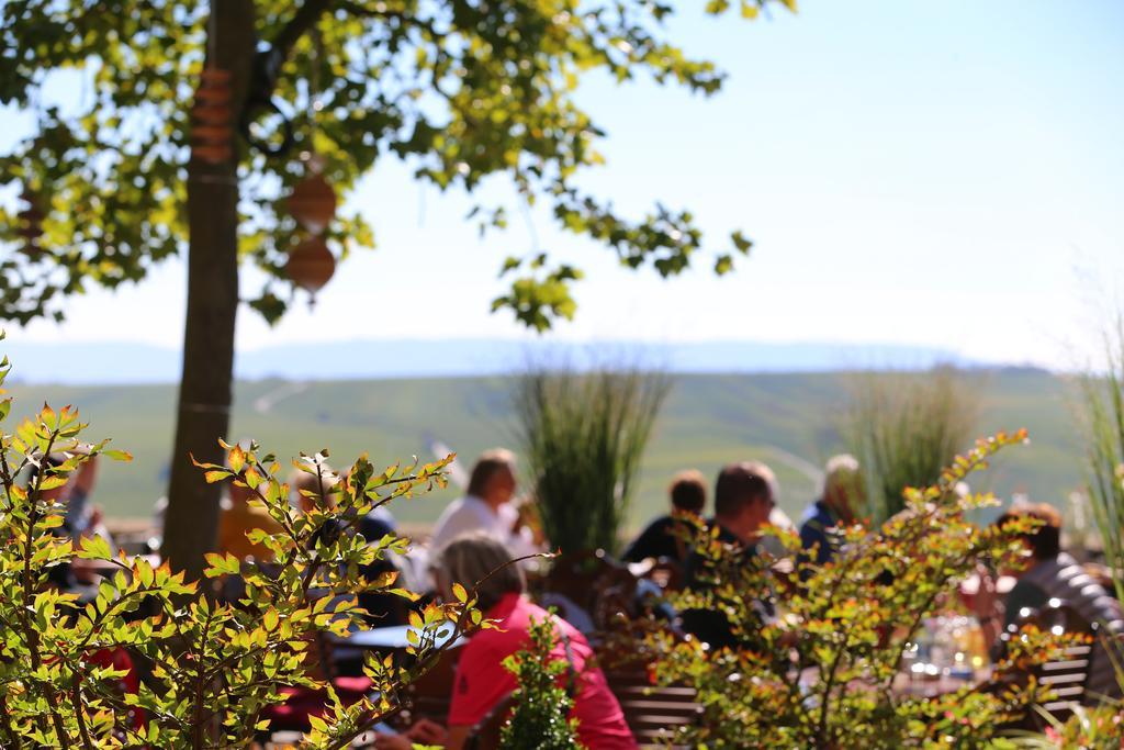 Hotel Vogelsburg Escherndorf Zewnętrze zdjęcie