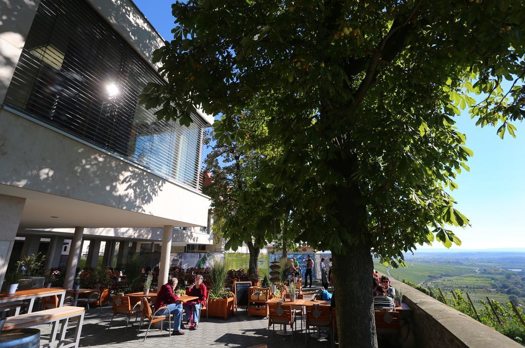 Hotel Vogelsburg Escherndorf Zewnętrze zdjęcie