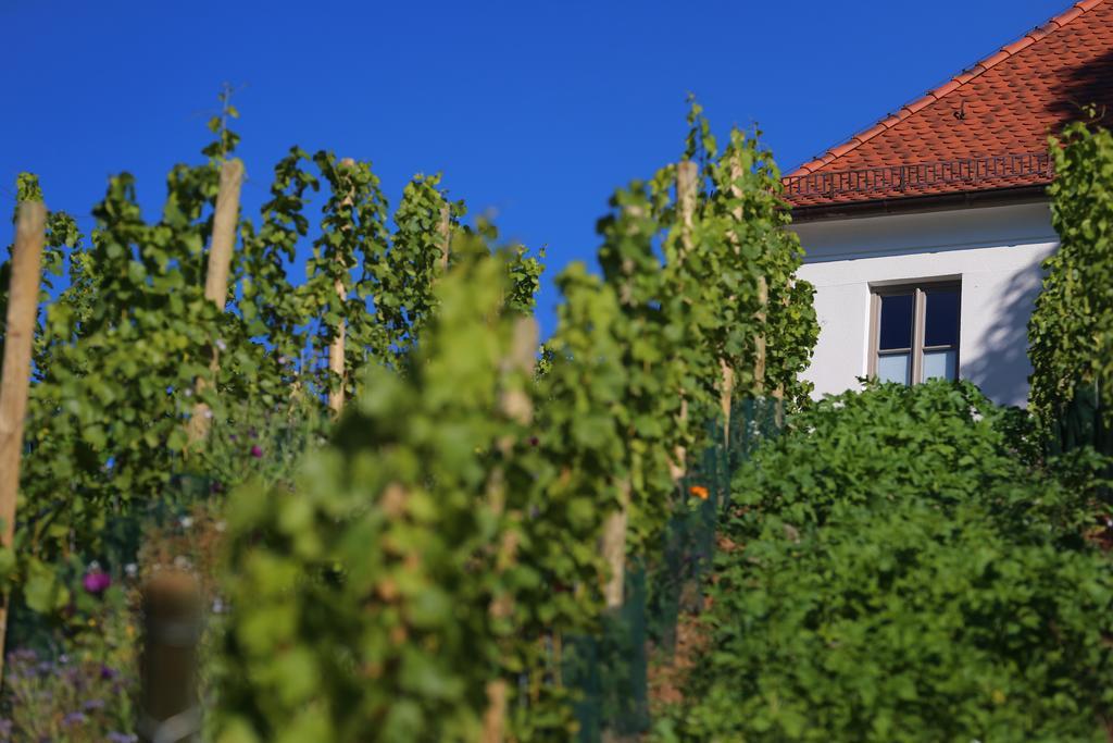 Hotel Vogelsburg Escherndorf Zewnętrze zdjęcie