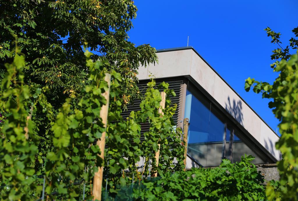 Hotel Vogelsburg Escherndorf Zewnętrze zdjęcie