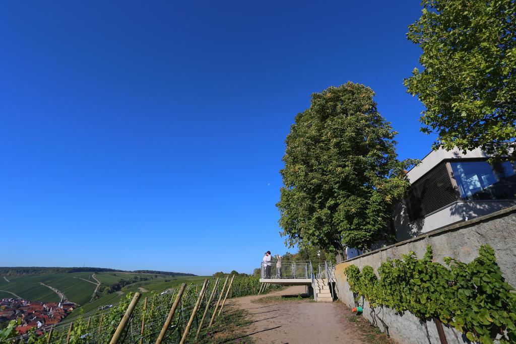 Hotel Vogelsburg Escherndorf Zewnętrze zdjęcie